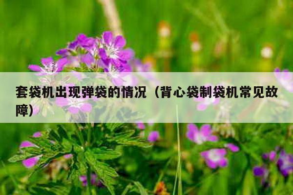 套袋機(jī)出現(xiàn)彈袋的情況(背心袋制袋機(jī)常見故障)