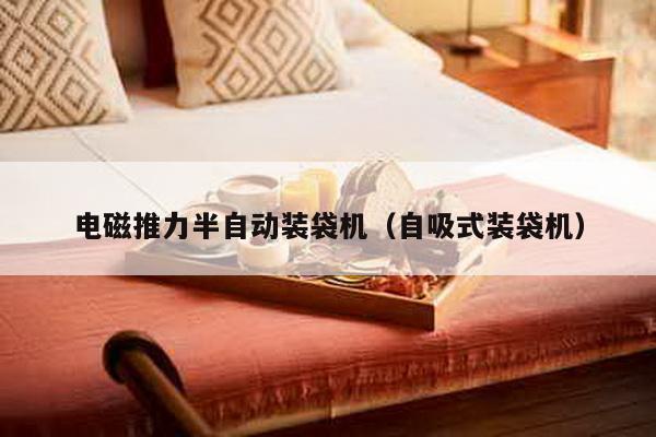 電磁推力半自動裝袋機(自吸式裝袋機)