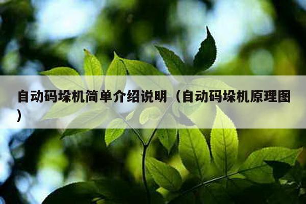 自動碼垛機簡單介紹說明(自動碼垛機原理圖)