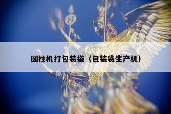 圓柱機打包裝袋(包裝袋生產機)