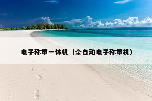 電子稱重一體機(全自動電子稱重機)