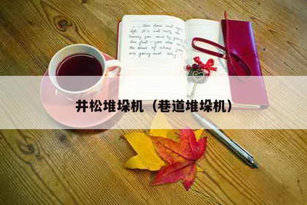 井松堆垛機(巷道堆垛機)