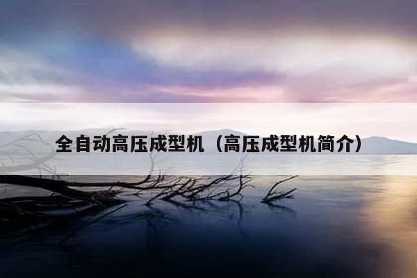 全自動高壓成型機(高壓成型機簡介)
