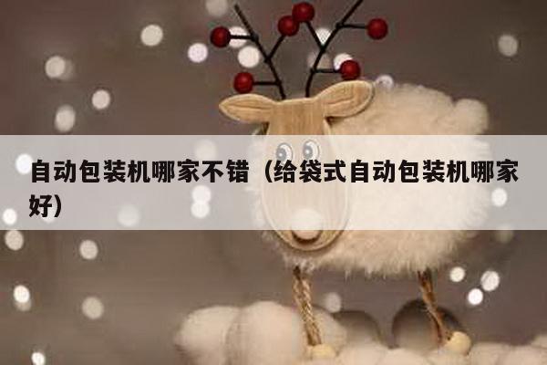 自動包裝機哪家不錯(給袋式自動包裝機哪家好)