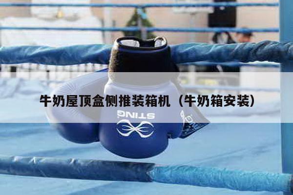 牛奶屋頂盒側(cè)推裝箱機(jī)(牛奶箱安裝)