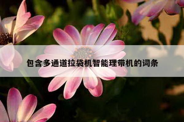 包含多通道拉袋機(jī)智能理帶機(jī)的詞條