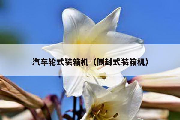 汽車輪式裝箱機(側封式裝箱機)