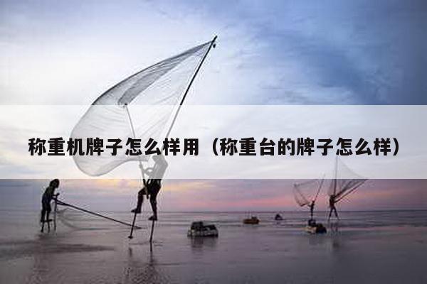 稱重機牌子怎么樣用(稱重臺的牌子怎么樣)