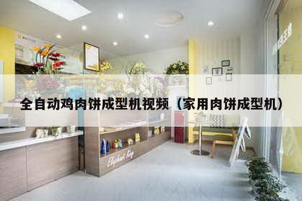 全自動(dòng)雞肉餅成型機(jī)視頻(家用肉餅成型機(jī))