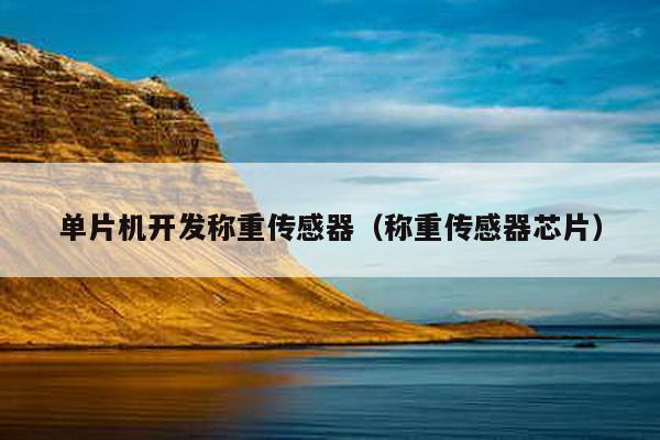 單片機(jī)開發(fā)稱重傳感器(稱重傳感器芯片)