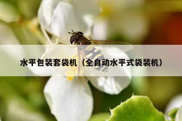 水平包裝套袋機(全自動水平式袋裝機)