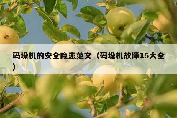 碼垛機(jī)的安全隱患范文(碼垛機(jī)故障15大全)
