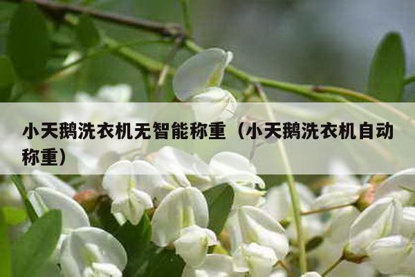 小天鵝洗衣機無智能稱重(小天鵝洗衣機自動稱重)