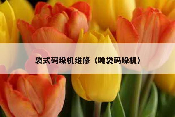 袋式碼垛機(jī)維修(噸袋碼垛機(jī))