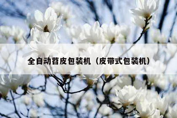 全自動苕皮包裝機(皮帶式包裝機)