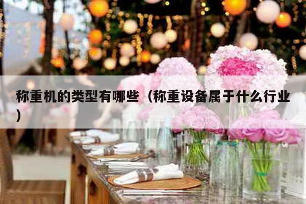 稱重機的類型有哪些(稱重設(shè)備屬于什么行業(yè))