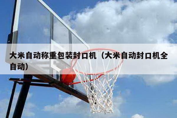 大米自動稱重包裝封口機(大米自動封口機全自動)