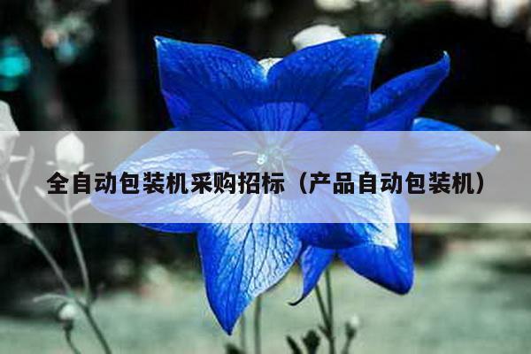 全自動包裝機(jī)采購招標(biāo)(產(chǎn)品自動包裝機(jī))