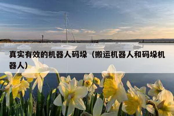 真實有效的機器人碼垛(搬運機器人和碼垛機器人)