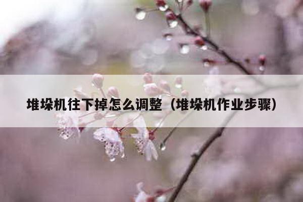 堆垛機(jī)往下掉怎么調(diào)整(堆垛機(jī)作業(yè)步驟)