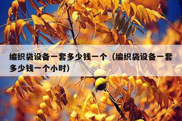 編織袋設備一套多少錢一個(編織袋設備一套多少錢一個小時)