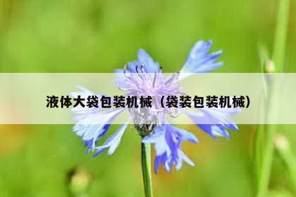 液體大袋包裝機械(袋裝包裝機械)