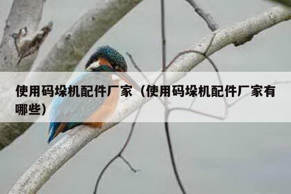 使用碼垛機配件廠家(使用碼垛機配件廠家有哪些)