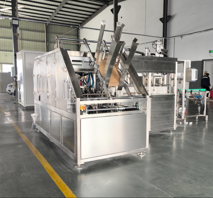 自動(dòng)自立袋裝箱機(jī)